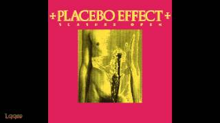 Placebo Effect ~ Painted Flowers In A Picture