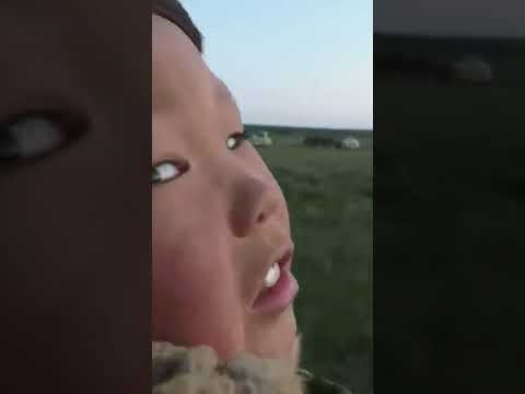 🤔 Как кочевники