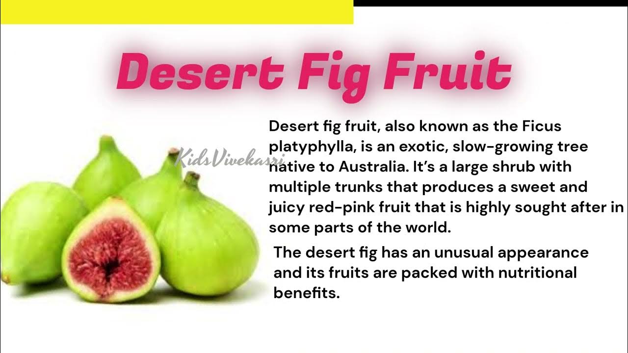 learning-english-for-kids-start-letter-d-fruits-name-start-with-d-list