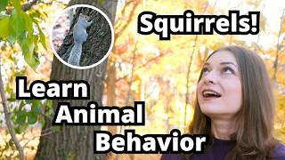 Celebrity Animal Behavior in Your Backyard: Learn with Squirrels! 🐿️ | Wildlife Biology for Kids Club Wealth
