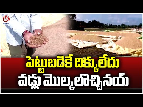 Heavy Rain Causes Crop Damage in Basara | V6 News - V6NEWSTELUGU
