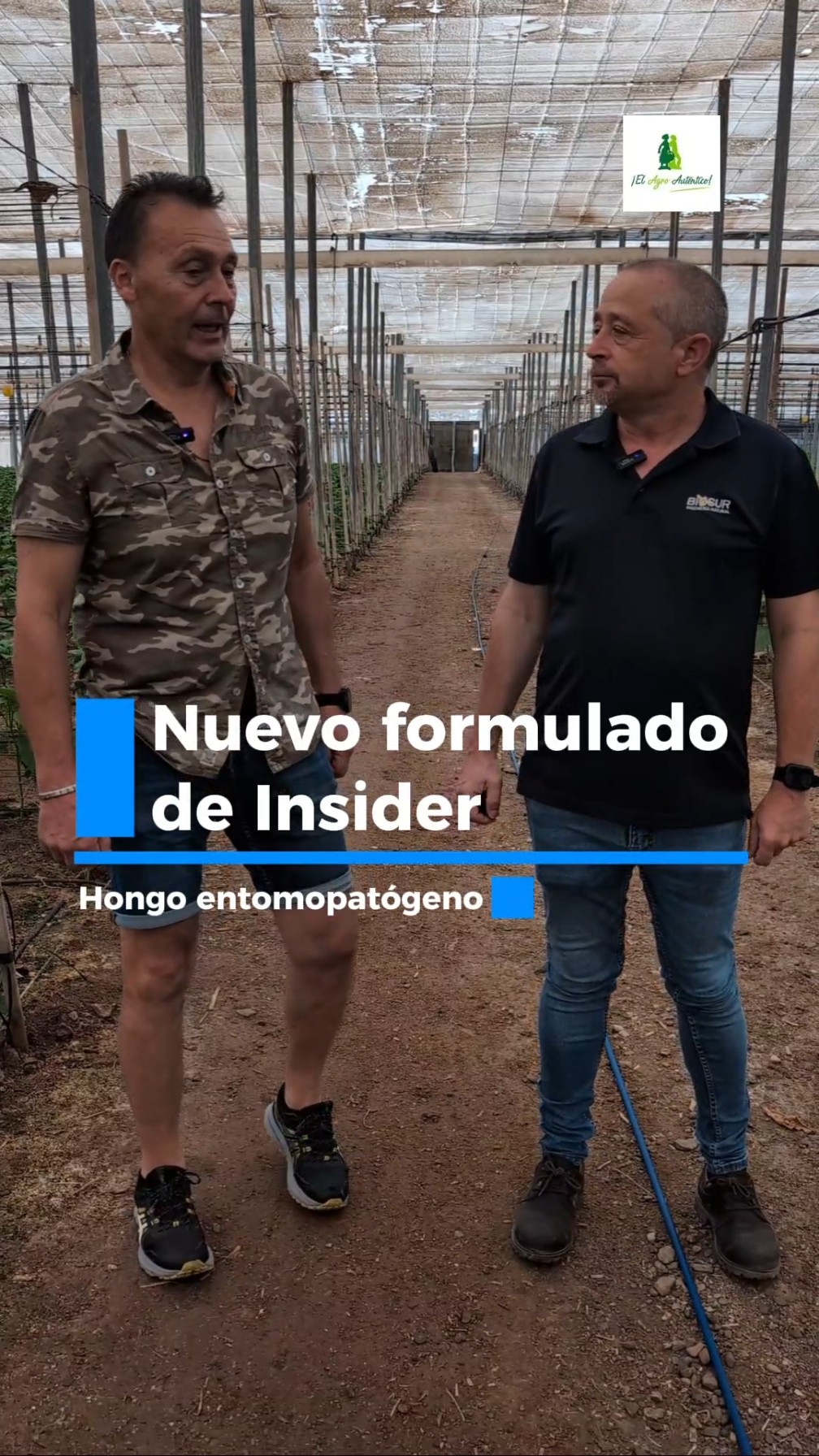 Nuevo formulado de Insider de Biosur #microorganismos #controldeplagas