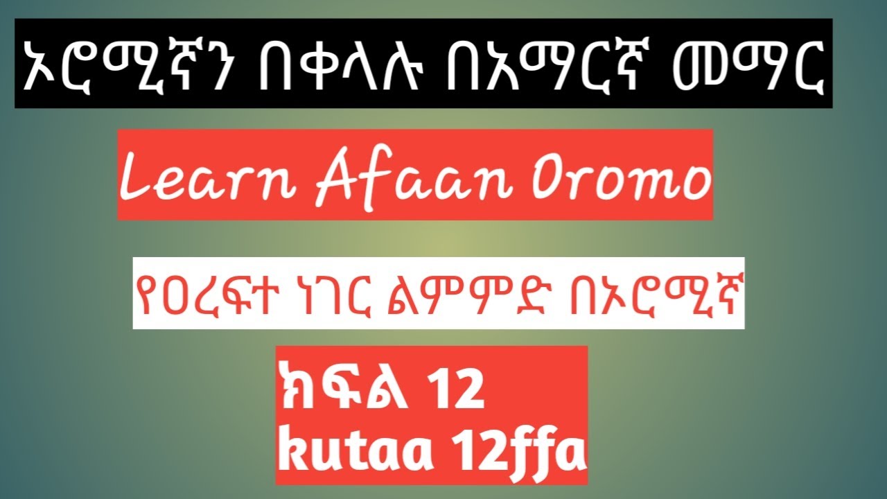 ዐረፍተ ነገር ኦሮሚኛን በአማርኛ መማር-learn Afaan Oromo in Amharic/part 12 Afaan Amariffa Barachuu
