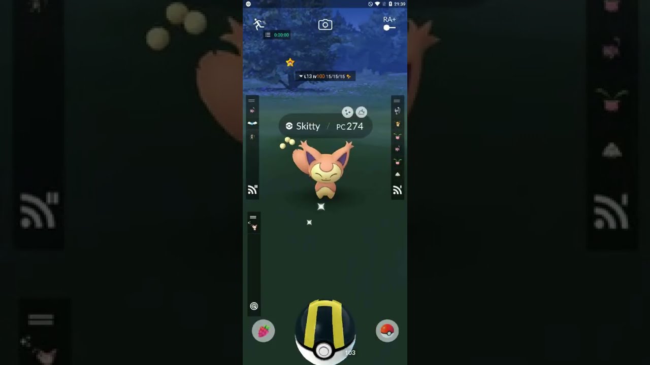 Skitty 100ivs Shiny "Shundo"