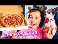 ДЕЛАЮ ПИЦЦУ СОБАКАМ И КОШКЕ НА ДЕНЬ РОЖДЕНИЯ СОБАКИ! ПИЦЦА ДЛЯ ЖИВОТНЫХ - ПОВТОРЯЮ ОБЫЧНУЮ ЕДУ