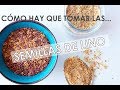 Cómo tomar las semillas de lino I Formas correctas de consumir las semillas de lino/linaza