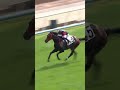 5 | NUMBERS | K C Leung | #KCLeung #Leung #Horse #Racing #Sport #Results #賽馬結果 #马會 #油管 #赛马结果