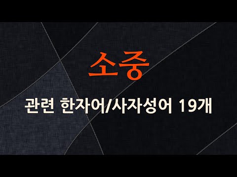 소중에 관한 한자어/사자성어 19개