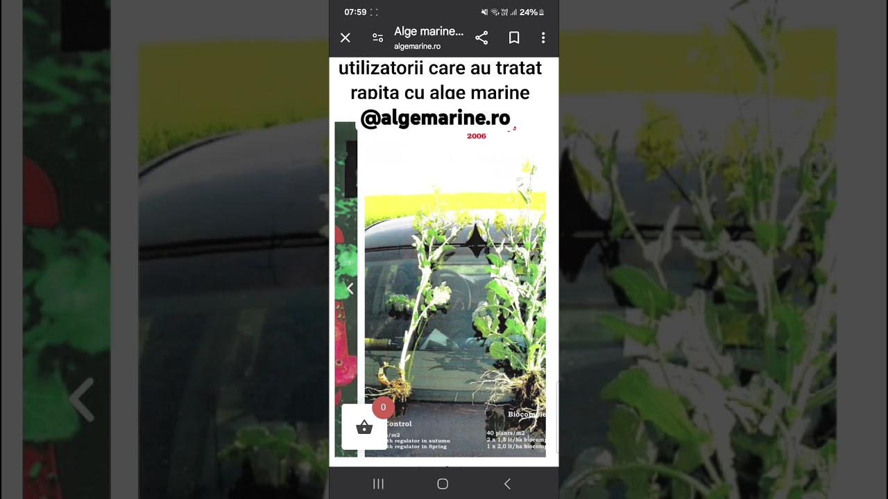 Extract de alge marine BCX900 la Rapita