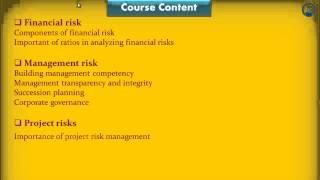 Risk Analysis   Analyzing Corporate Risks