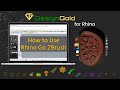 How to use rhino go zbrushvery useful tool