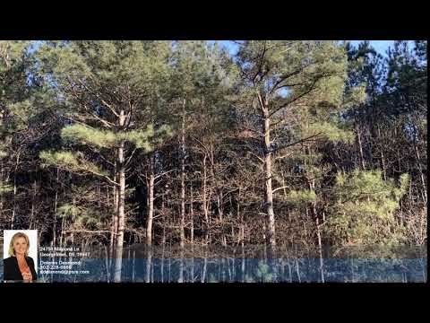 24751 Millpond Ln, Georgetown, DE home video tour