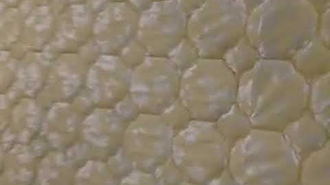 High-speed Computerized chain stitch Multi-needle Quilting machine short video