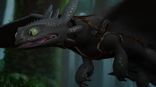 Toothless Saddle Update
