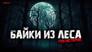 видео: Байки из леса (3в1) Выпуск №13 картинка: Байки из леса (3в1) Выпуск №13