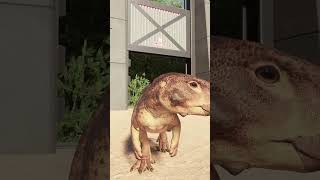 Psittacosaurus (Female) In Jurassic World Evolution 3