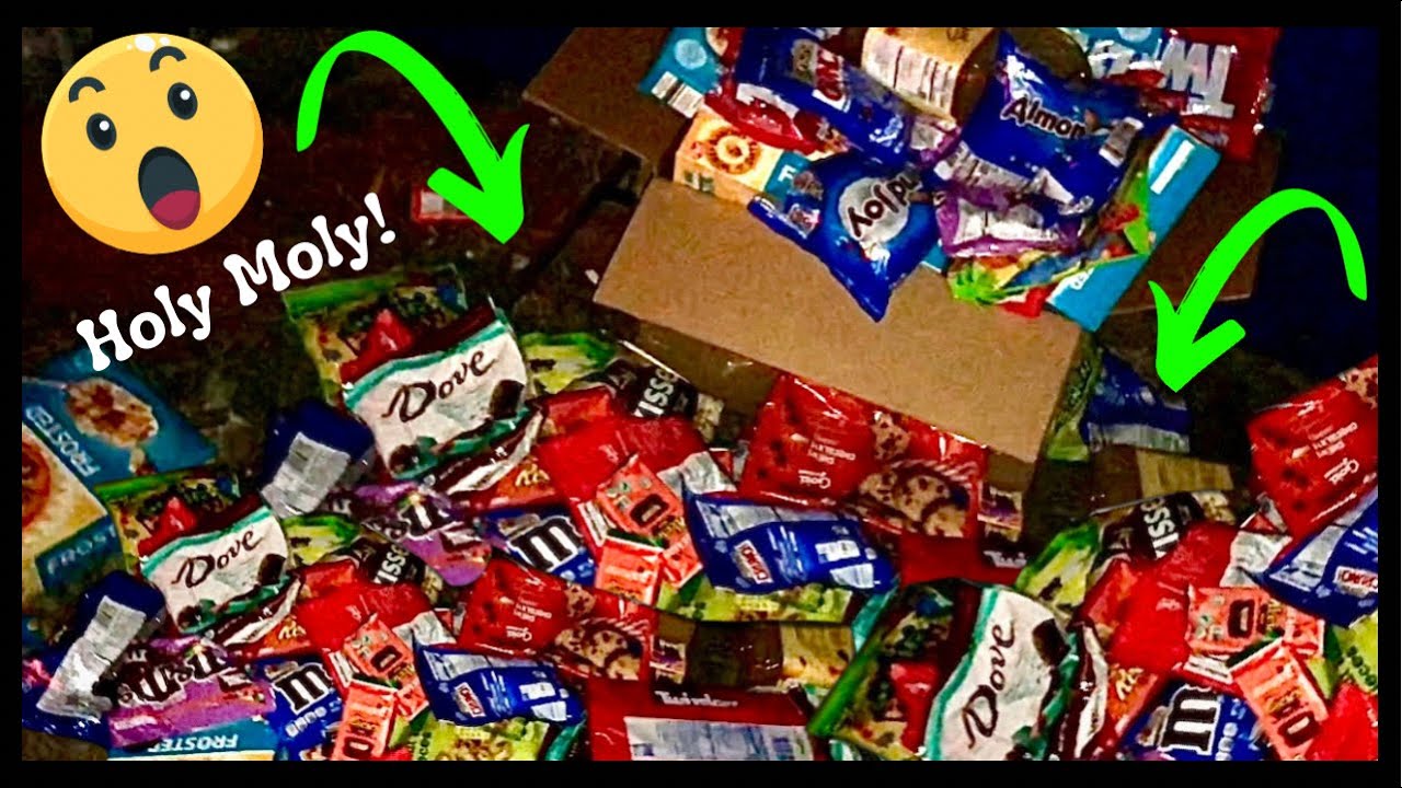 РЕЗУЛЬТАТ НЫРЬЯ В МУСОРНЫХ КОНТЕЙНЕРАХ! Они продолжали давать!