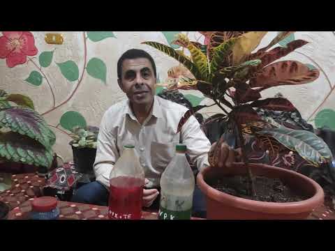 السموم 1 1 