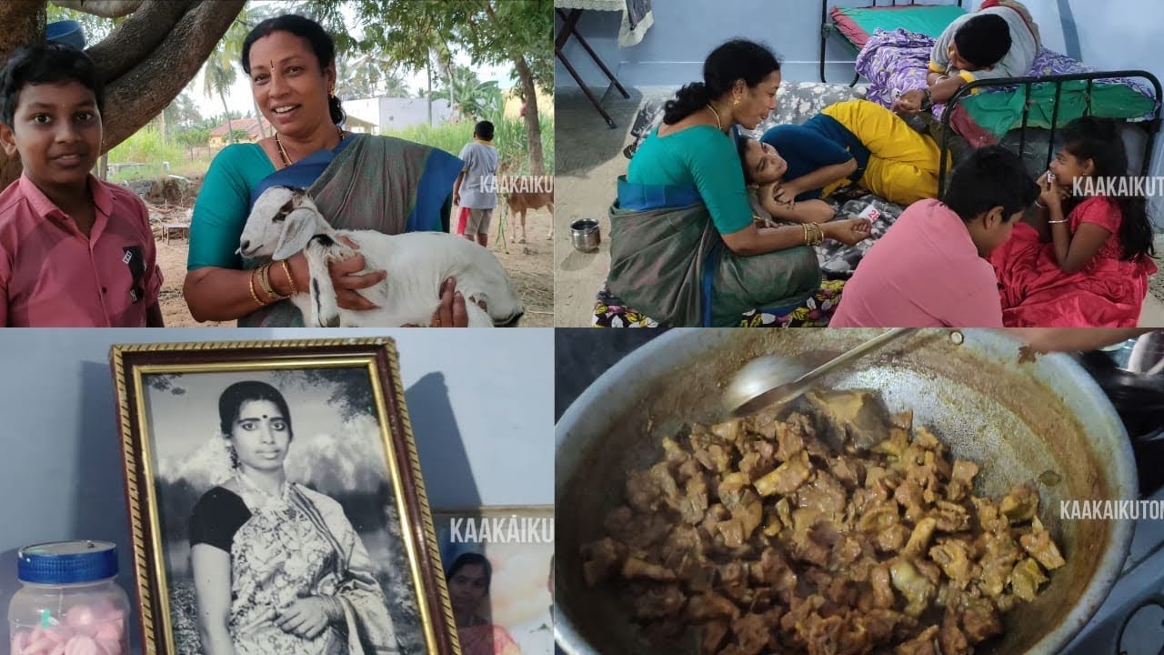 அத்தை வீட்டுக்கு போயி ரொம்ப நாள் ஆகிவிட்டது இன்று போய் வருவோமா ?🥰