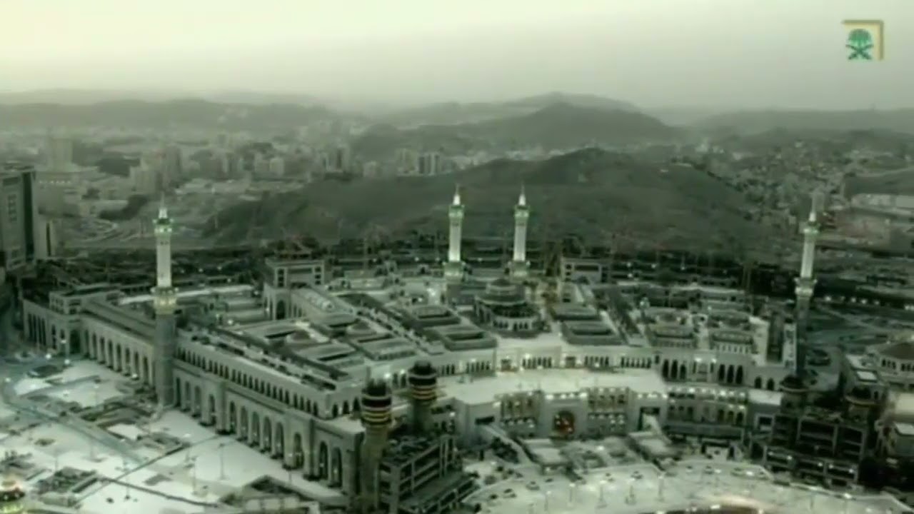 أسئلة وأجوبة مع الشيخ صالح الفوزان حفظه الله