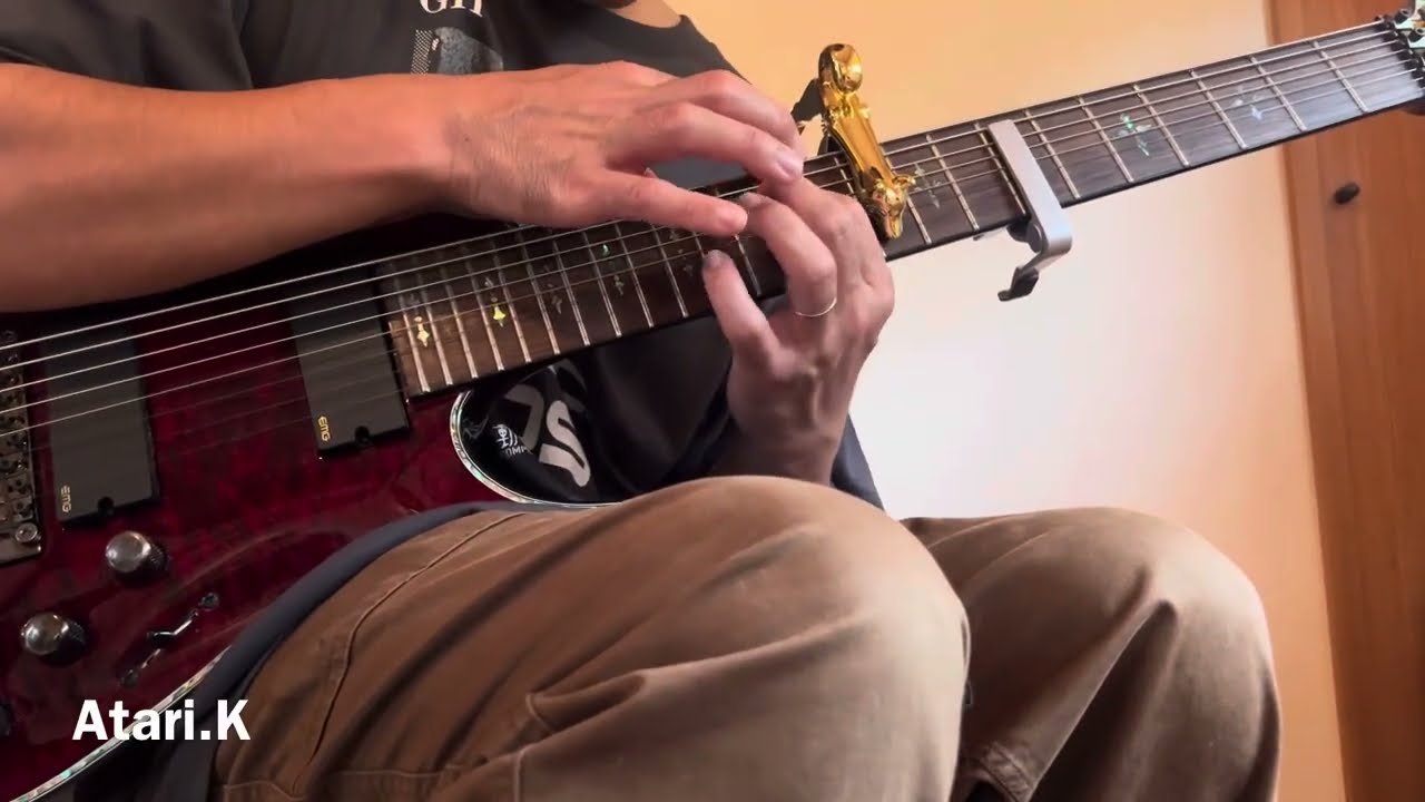 Midwest emo mathrockstyle 8stringguitar 【世界一眠たくなるリバース