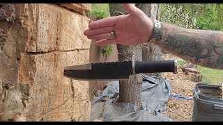 fallen tree knife target