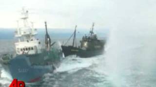 Raw Video: Ships Collide in Whaling Clash