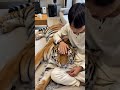 Nuôi Hổ Trong Nhà Không Ai Lại Xông Đất