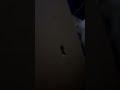#ダンボール　#指　#穴