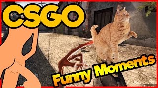 CS:GO Funny Moments | #27 [Hampus pillar katter i röven] + HNS