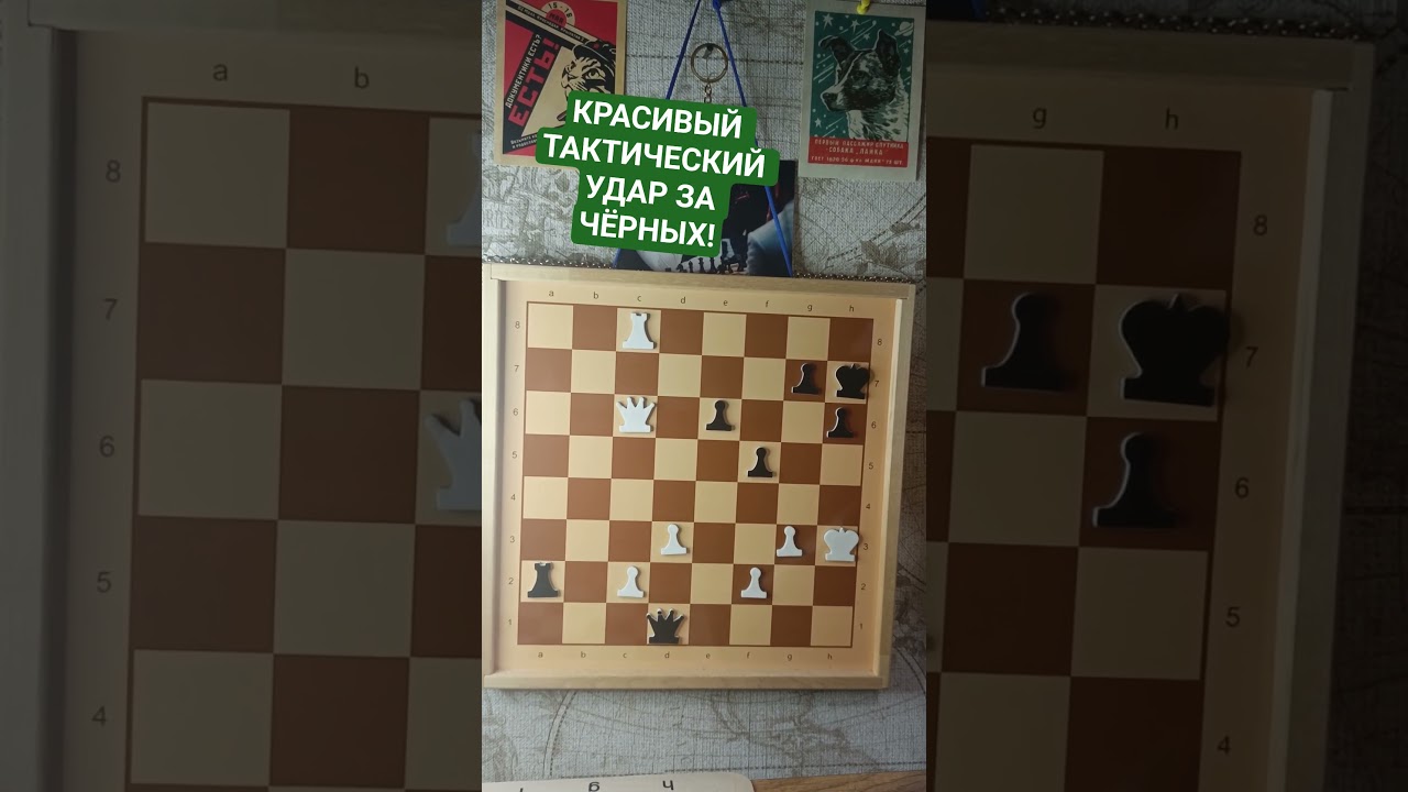 ЗВЕРСКАЯ ТАКТИКА! | CМОЖЕШЬ РЕШИТЬ?