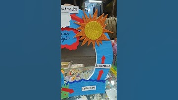 Water Cycle Project #diy #project #schoolproject #watercycle