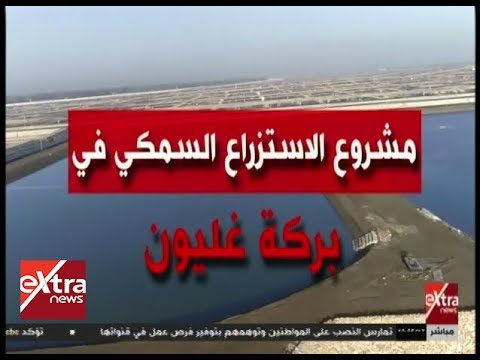 غرفة الأخبار تعرف على مشروع الاستزراع السمكي في بركة غليون