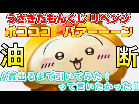 リベンジ！ちいかわたぬきだもんくじ！うさぎさん愛が止まらない