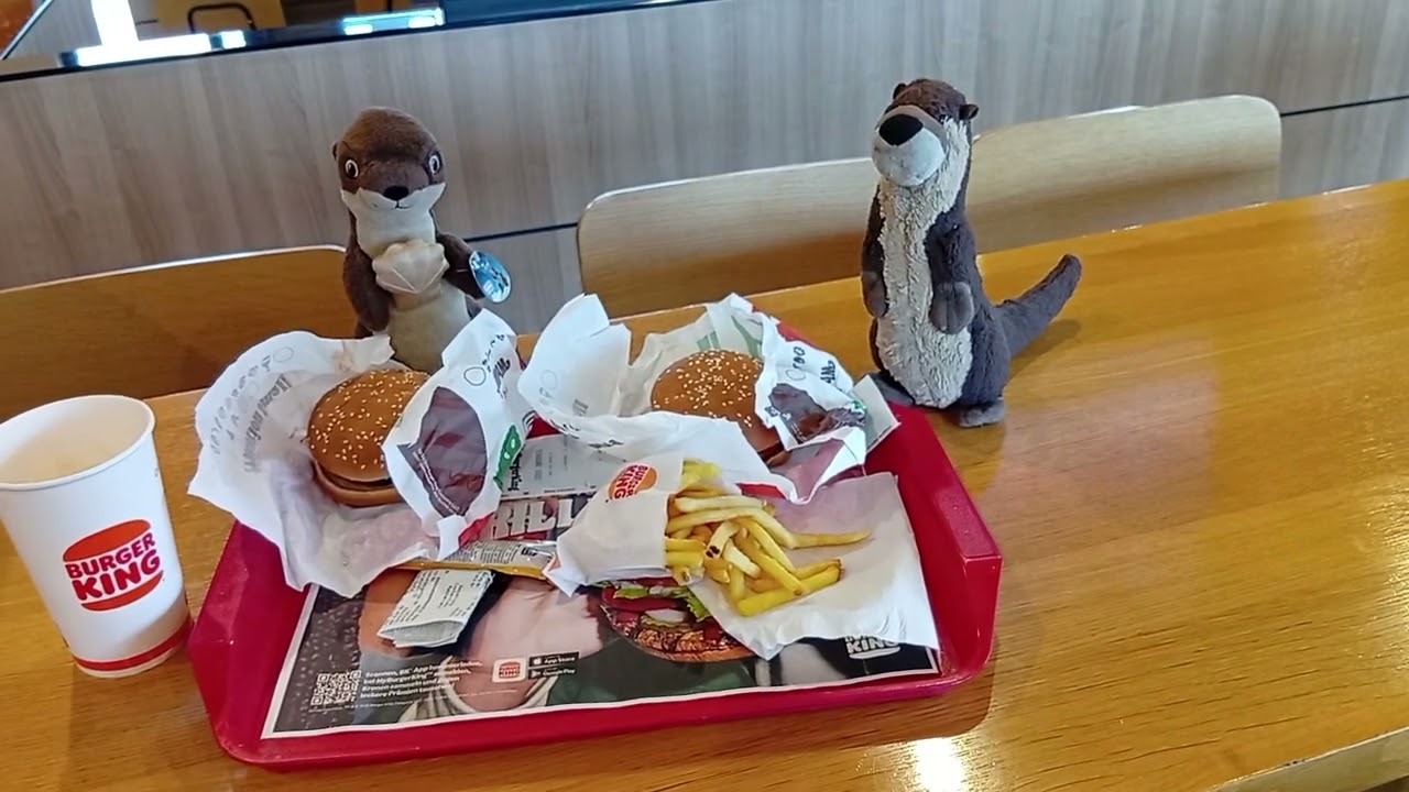Feeding of the otters Marlenka & Finley Flink at Burger King West