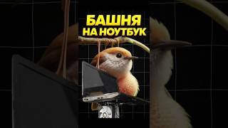Башня от пк на ноутбук