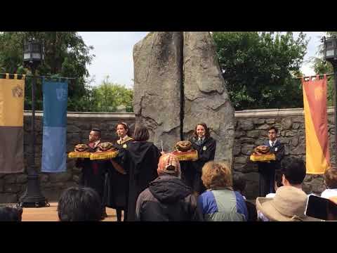 Frog Choir at