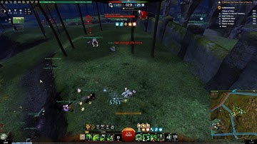 GW2 hacker