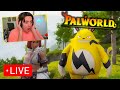 Who remembers palworld