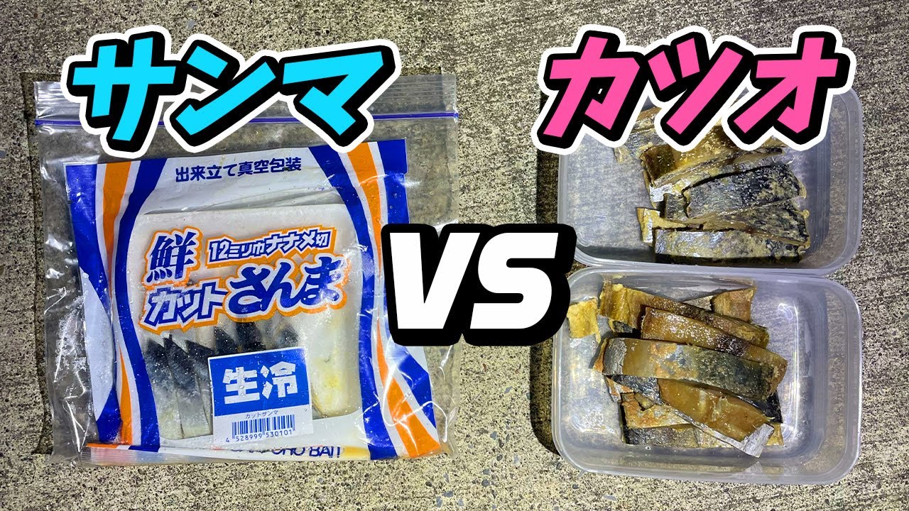 「サンマ VS カツオ」最強餌がタッグを組んだらすごい事になりました