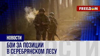 💥 Серебрянский лес: работа минометного расчета ВСУ