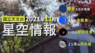 2021年11月の星空情報・天文現象（惑星たちが見頃／白昼の金星食／19日は部分月食／11月の月の暦）