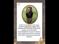Masai Mara – Serengeti and Ngorongoro Safari #kilieconomysafari #africansafari #wildlife