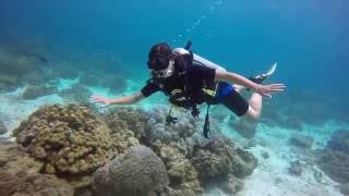 เรียนดำน้ำภูเก็ต เกาะราชาใหญ่ Scuba Diving Phuket