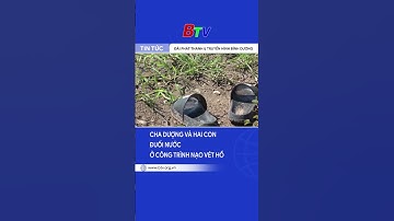 Cha dượng và hai con đuối nước ở công trình nạo vét hồ| BTV - TRUYỀN HÌNH BÌNH DƯƠNG #shorts