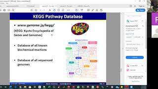 04 Metabolic Databases | Metabolic Flux Analysis | Lecture 10 | Metabolic Engineering | SP20