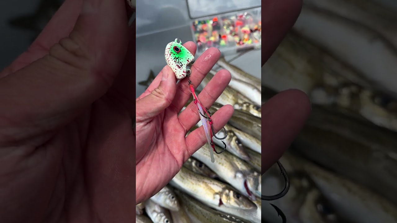 All new VEXED coming soon…. 