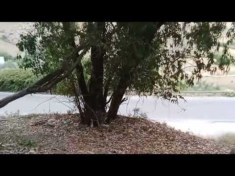 اعرف بلادك الشرشارة باجة البساطة والجمال