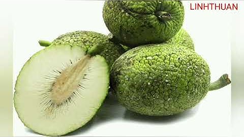 SA KÊ thực hư về những tác dụng của sa kê đối với sức khỏe con người