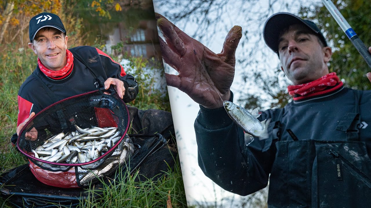 Record Breaking Bleak Tactics Revealed by Hadrian Whittle